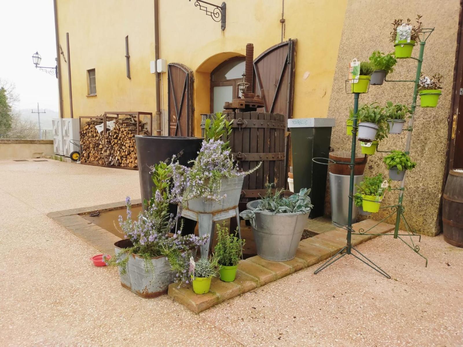 Locanda Di Casigliano Villa Casigliano  Eksteriør bilde